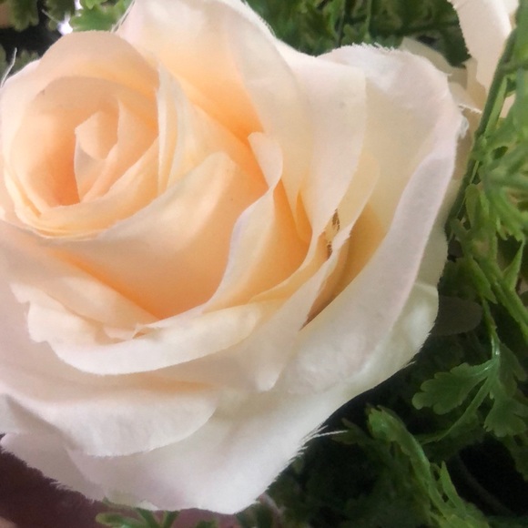 Meet your Posher, Shaima - Picture 1 of 1